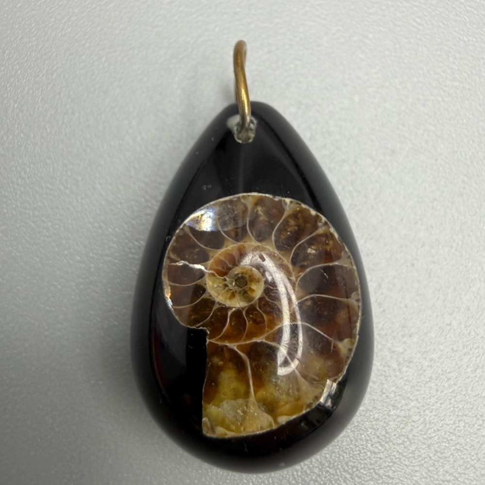 Ammonite Fossil in Clear Resin Teardrop Pendant Suspended